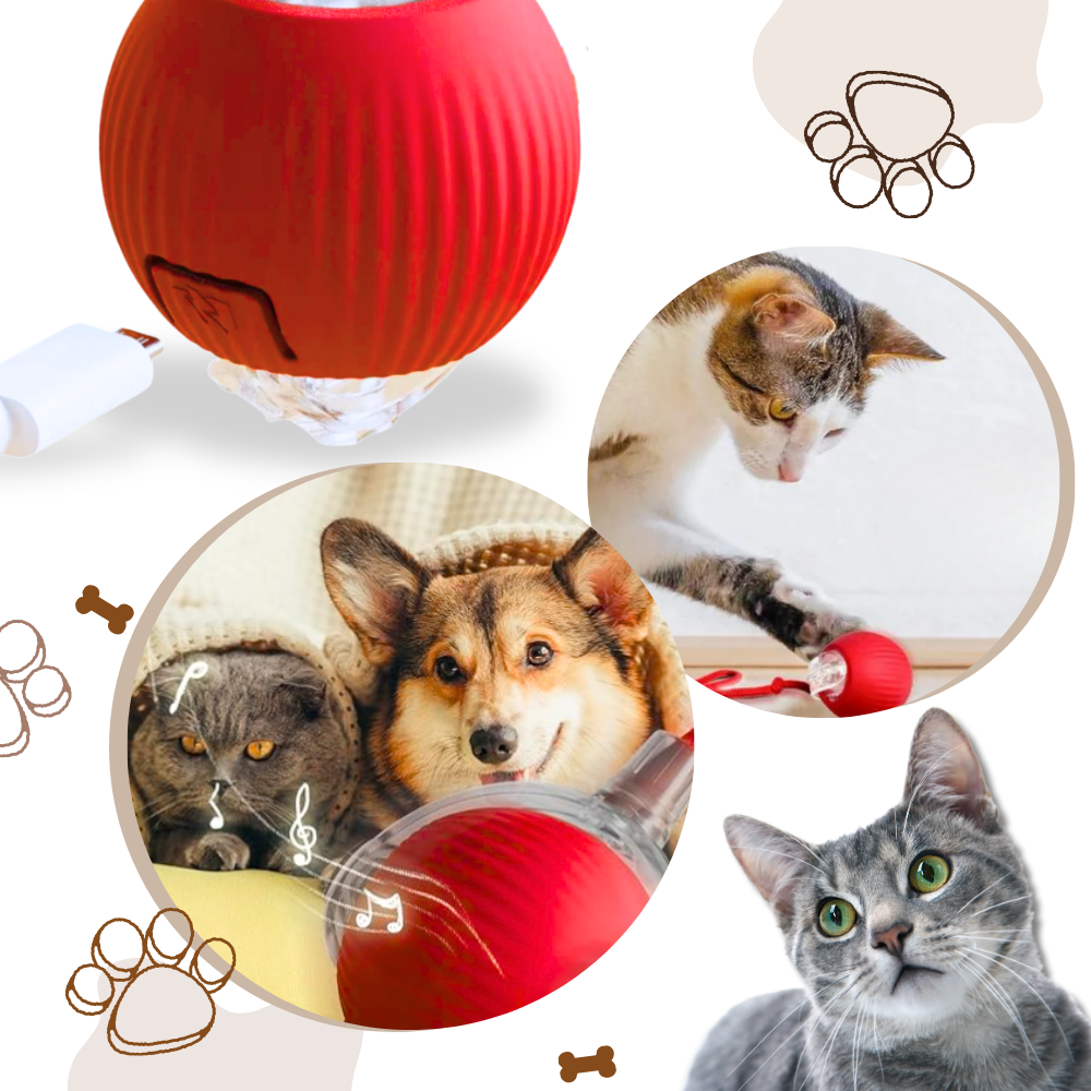 Hollevo™ Zelfrollende kattenbal met speels touwstaartje