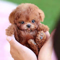 Hollevo™ Interactieve robotpuppy die loopt, blaft en kwispelt