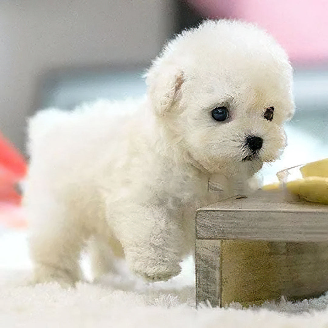 Hollevo™ Interactieve robotpuppy die loopt, blaft en kwispelt