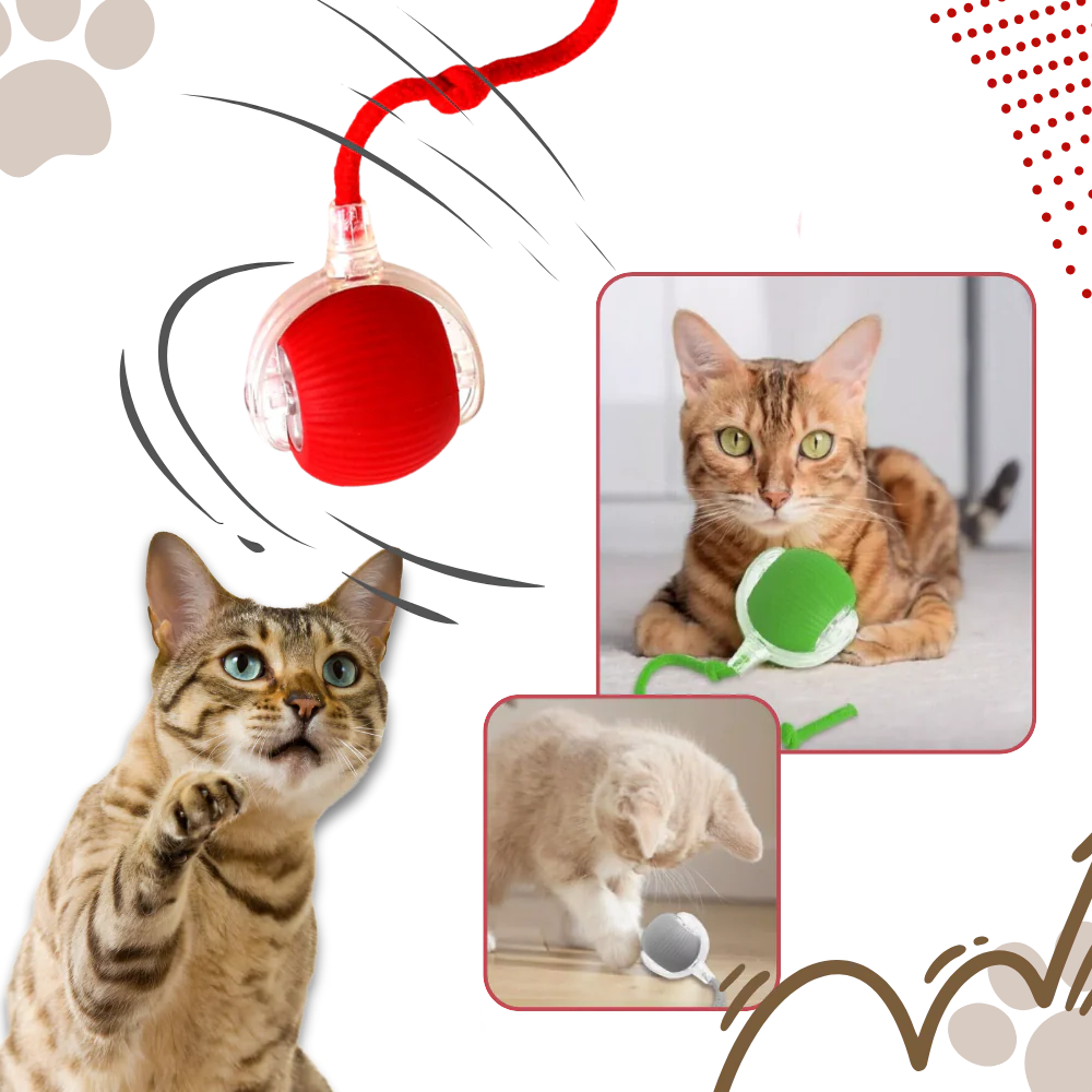 Hollevo™ Interactieve kattenbal die rolt en obstakels ontwijkt