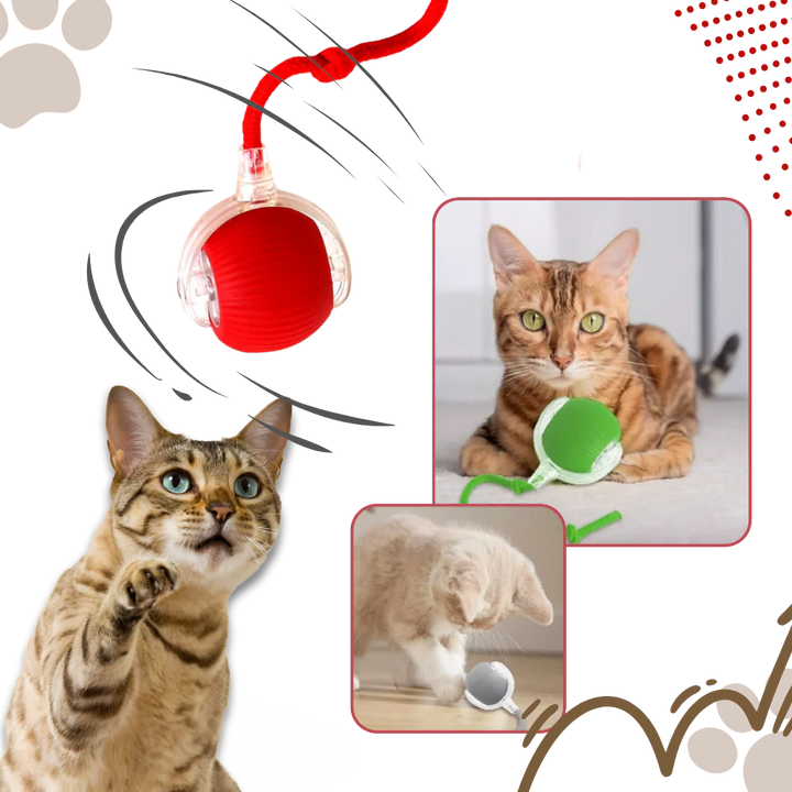 Hollevo™ Interactieve kattenbal die rolt en obstakels ontwijkt