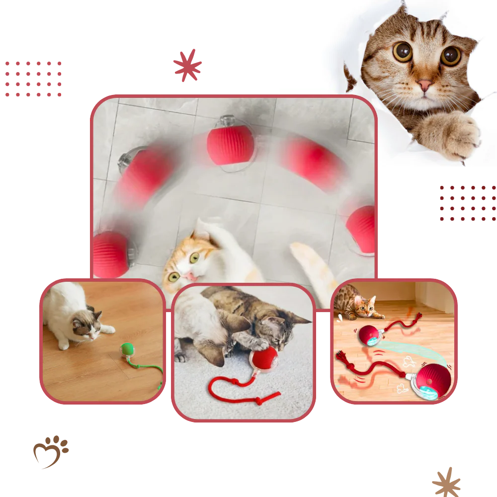 Automatische kattenbal met slimme sensoren tegen obstakels