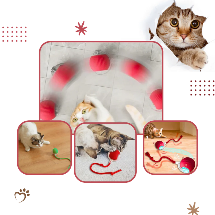 Automatische kattenbal met slimme sensoren tegen obstakels