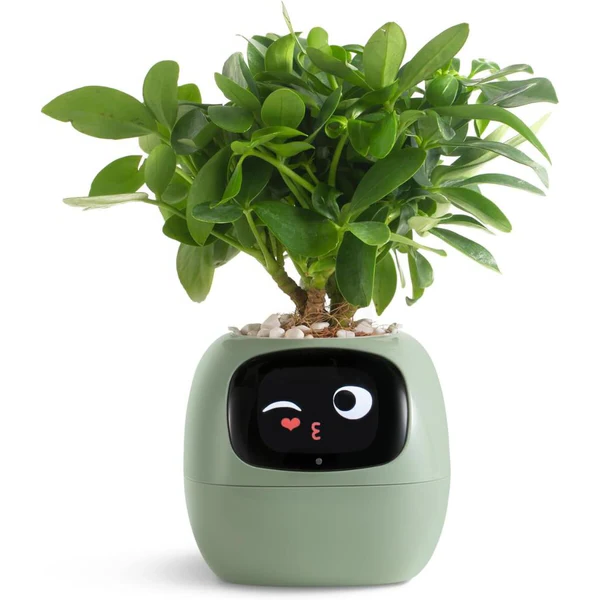 Slimme plantenpot met zelfbewatering en bodemsensor