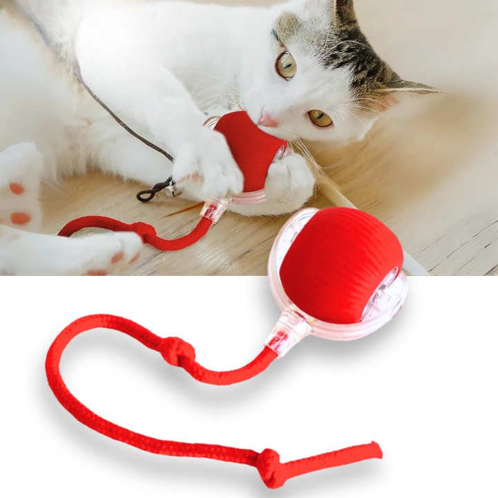 Hollevo™ Interactieve kattenbal die rolt en obstakels ontwijkt