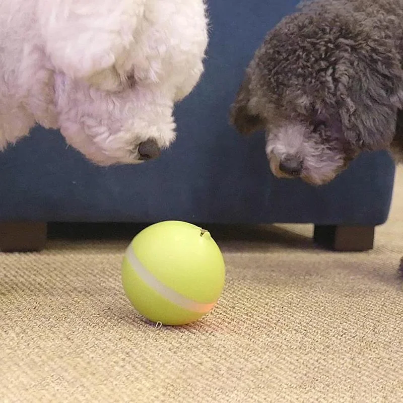 Hollevo™ Interactieve bewegende bal voor katten en honden, oplaadbaar