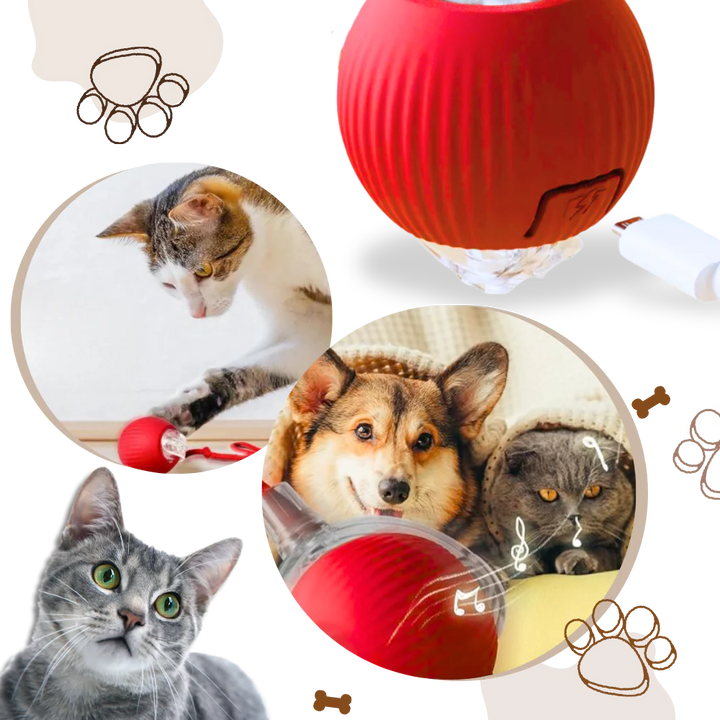 Hollevo™ Interactieve kattenbal die rolt en obstakels ontwijkt