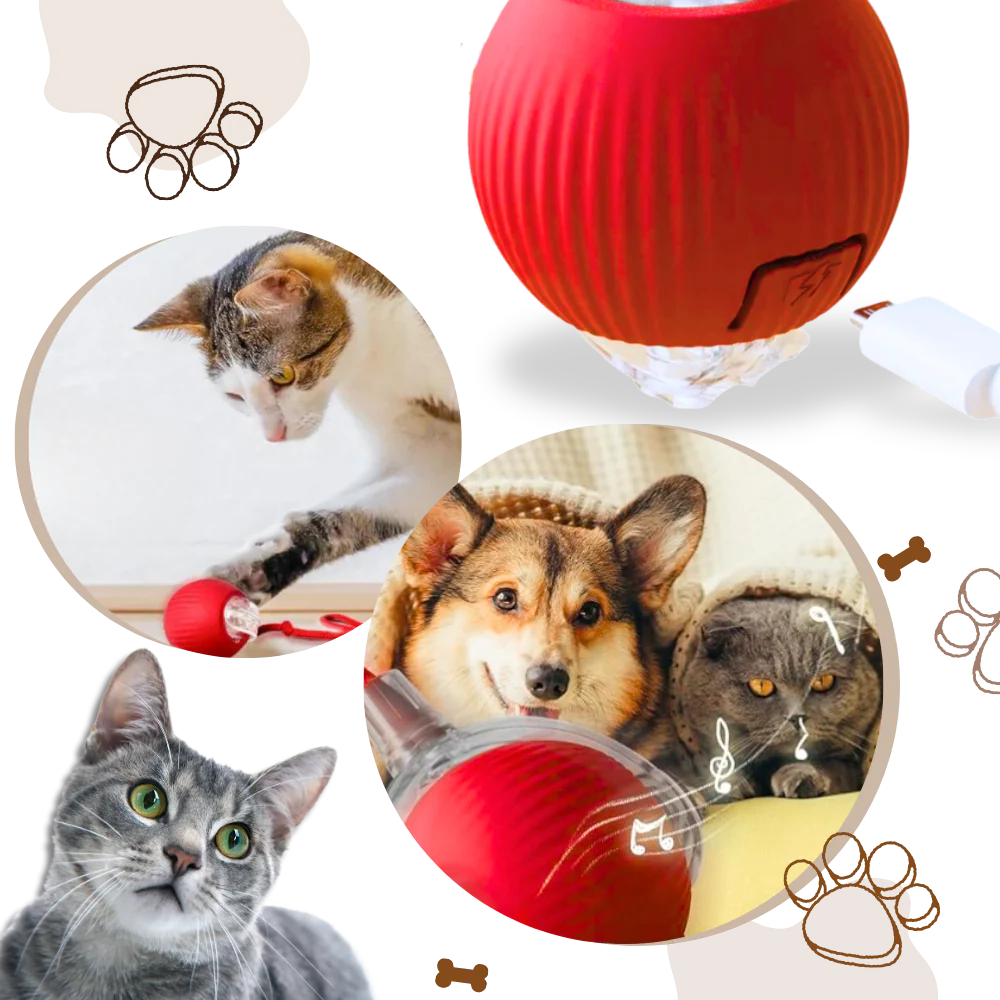 Automatische kattenbal met slimme sensoren tegen obstakels