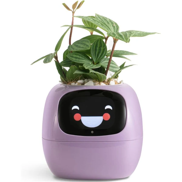 Slimme plantenpot met zelfbewatering en bodemsensor