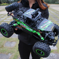 Hollevo™ Bestuurbare monstertruck 1:12 met 4WD en 2,4 GHz-bediening