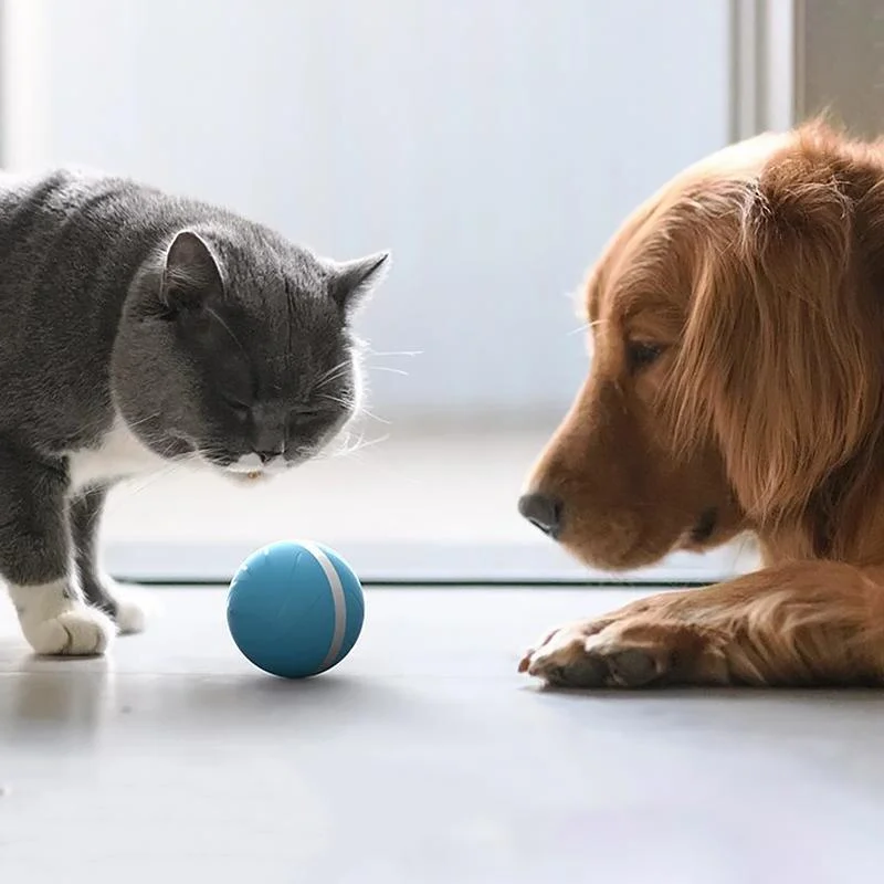 Hollevo™ Interactieve bewegende bal voor katten en honden, oplaadbaar