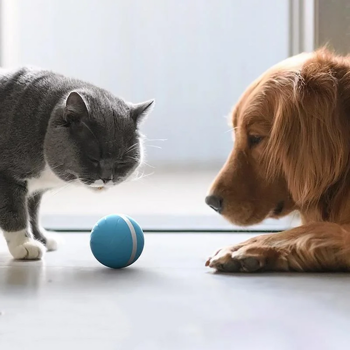 Hollevo™ Interactieve bewegende bal voor katten en honden, oplaadbaar