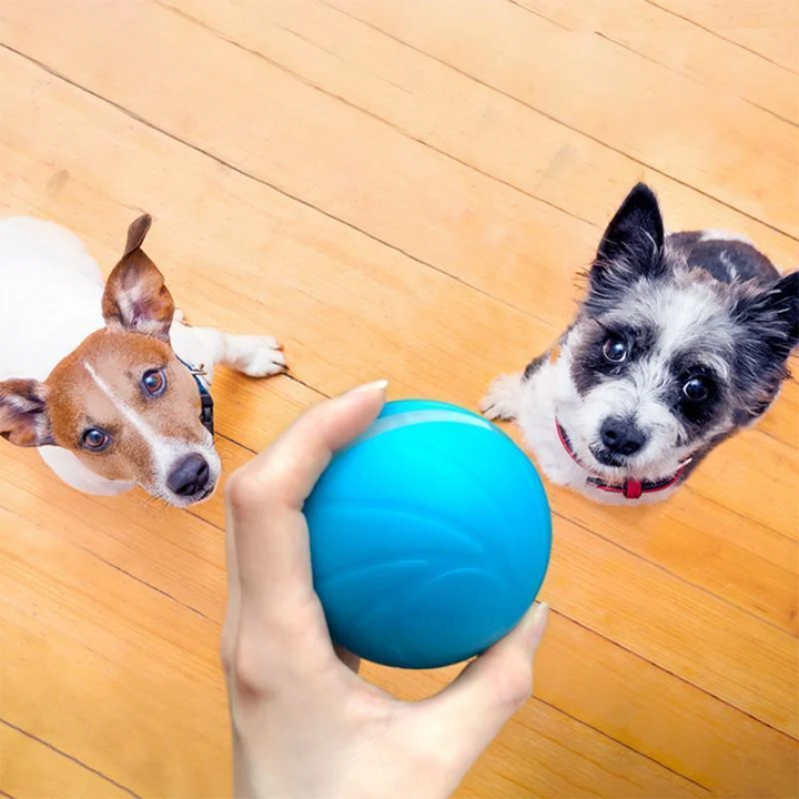 Hollevo™ Interactieve bewegende bal voor katten en honden, oplaadbaar